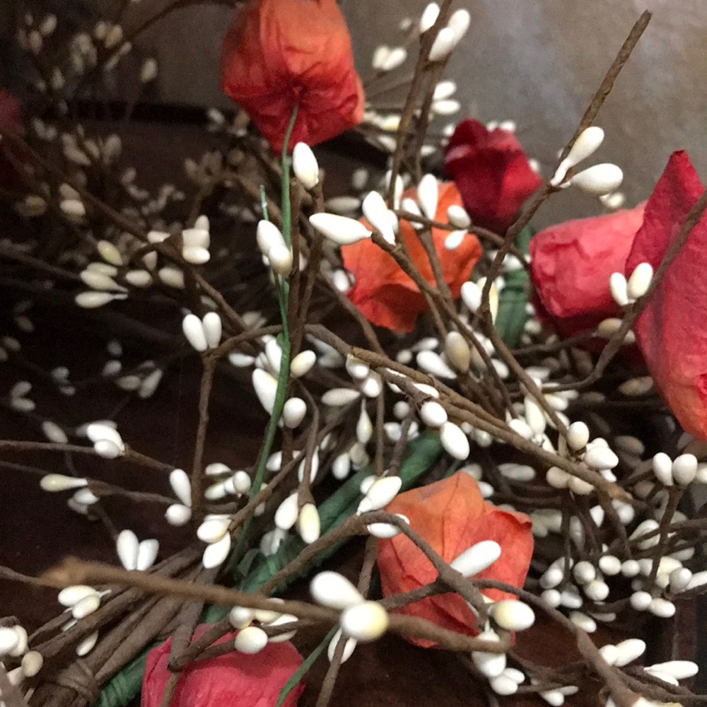 Meet your Posher, Nola